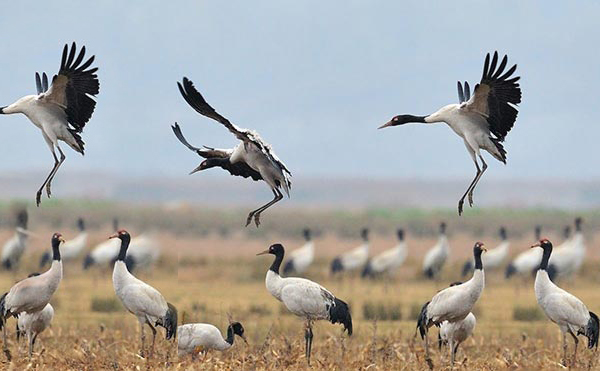 Samtengang Winter Trek